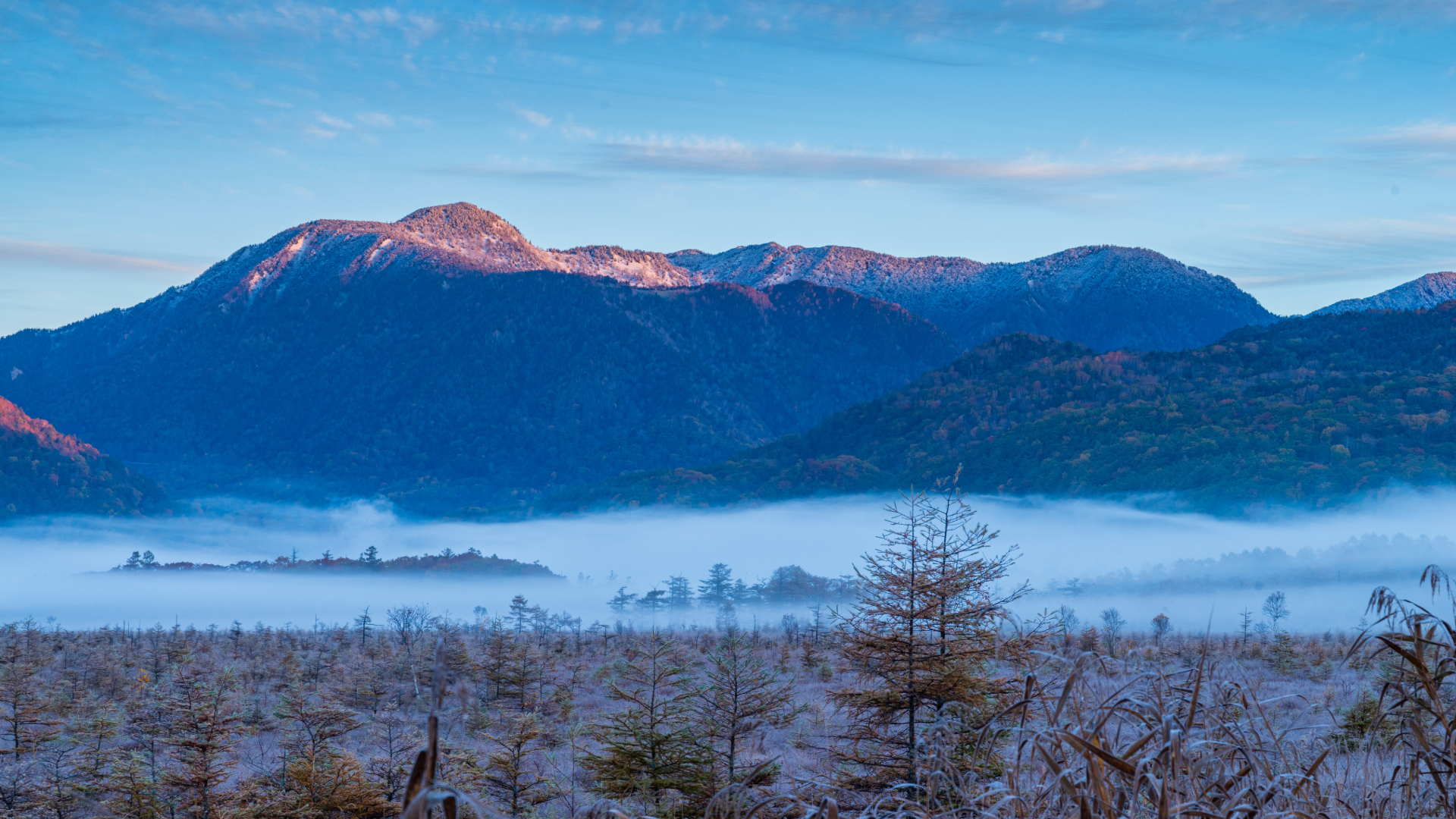 Scenic mountain road in Oku-Nikko during autumn foliage season, Japan
